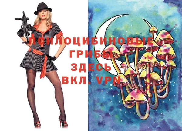 марихуана Елизово