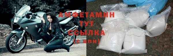 соль ск Дмитриев