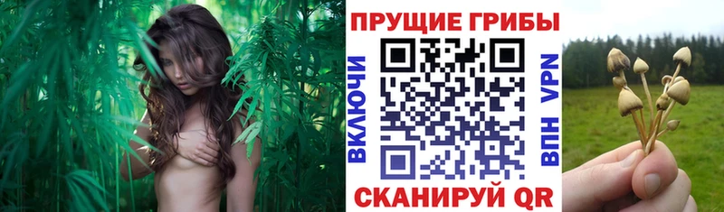 Галлюциногенные грибы мухоморы  где купить   Ермолино 
